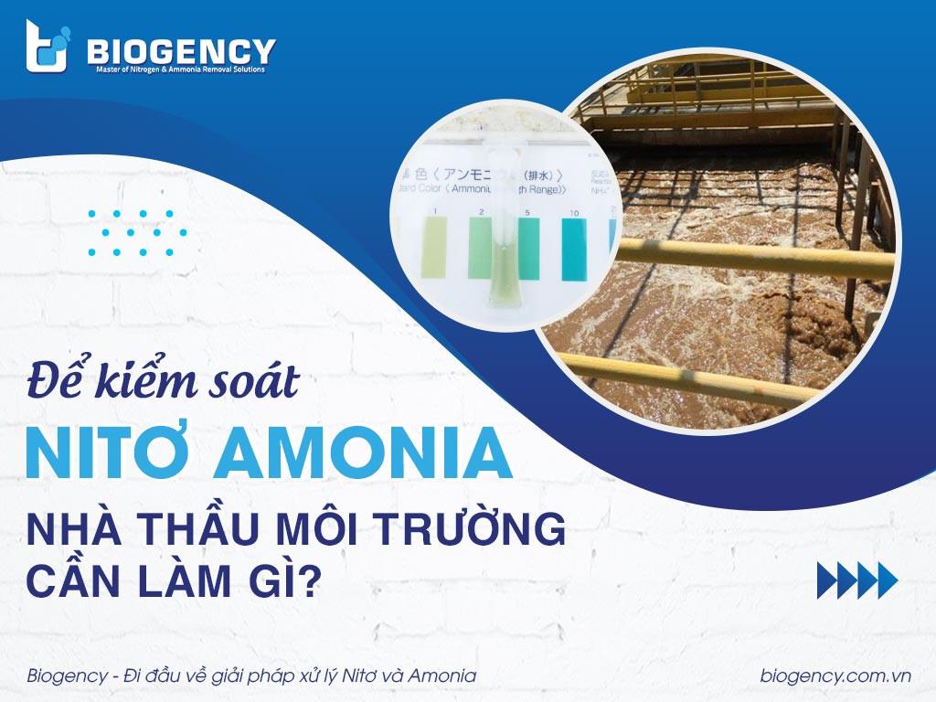 Để kiểm soát Nitơ Amonia, nhà thầu môi trường cần làm gì?