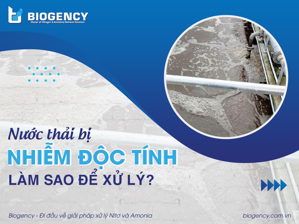 Nước thải bị nhiễm độc tính, làm sao để xử lý?