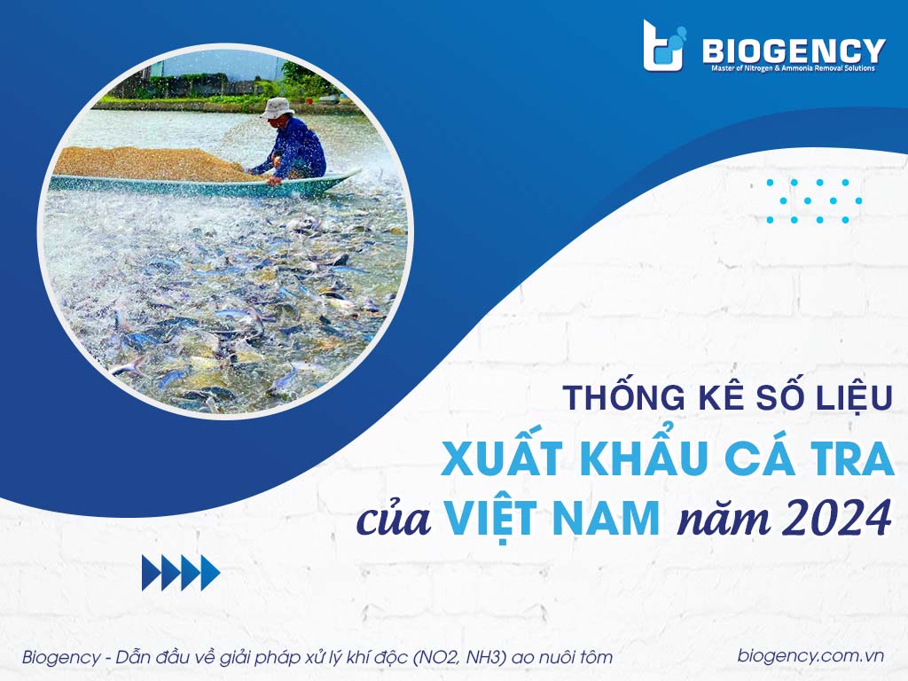 Thống kê số liệu xuất khẩu cá tra của Việt Nam năm 2024