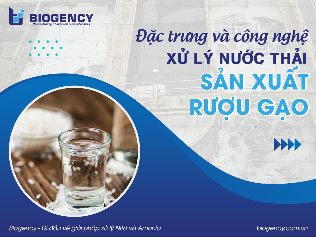 Đặc trưng và công nghệ xử lý nước thải sản xuất rượu gạo