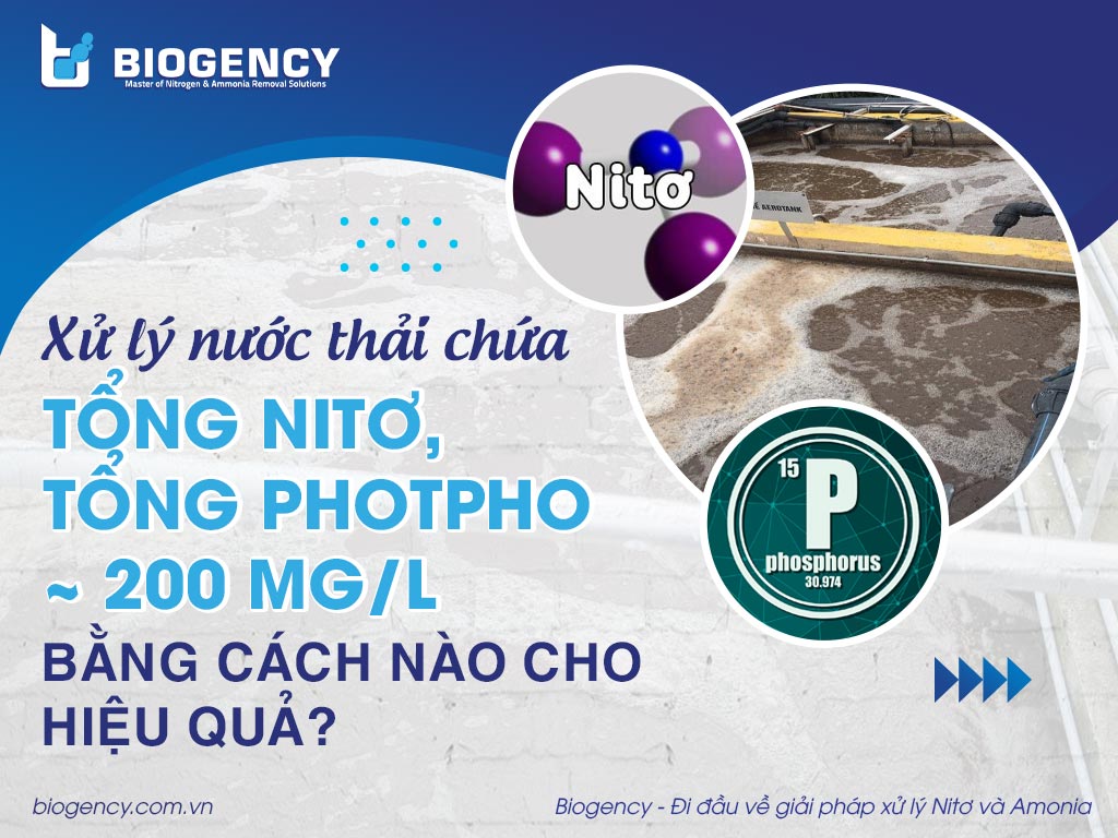 Xử lý nước thải chứa tổng Nitơ, tổng Photpho ~ 200 mg/l bằng cách nào cho hiệu quả?