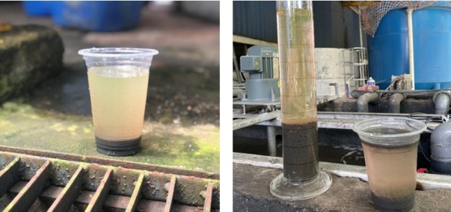 Bùn nước thải sản xuất mực in trước và sau khi áp dụng giải pháp BIOGENCY. Bùn nước thải sản xuất mực in trước và sau khi áp dụng giải pháp BIOGENCY.