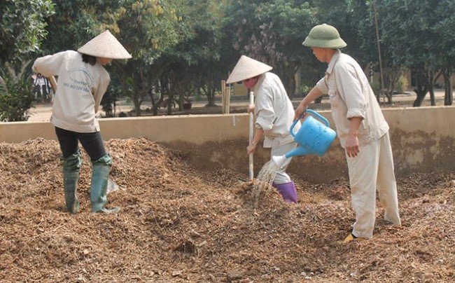 Công nhân ủ phân hữu cơ vi sinh từ bã sắn. Công nhân ủ phân hữu cơ vi sinh từ bã sắn.