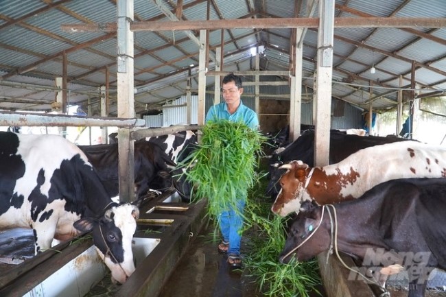 Nước thải chăn nuôi mới là nguyên nhân chính gây ô nhiễm môi trường. Nước thải chăn nuôi mới là nguyên nhân chính gây ô nhiễm môi trường.