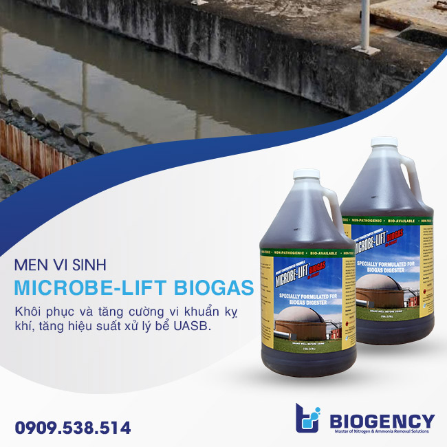 Bổ sung vi sinh kỵ khí Microbe-Lift BIOGAS để khôi phục và tăng cường vi khuẩn kỵ khí, tăng hiệu suất xử lý bể UASB. Bổ sung vi sinh kỵ khí Microbe-Lift BIOGAS để khôi phục và tăng cường vi khuẩn kỵ khí, tăng hiệu suất xử lý bể UASB.