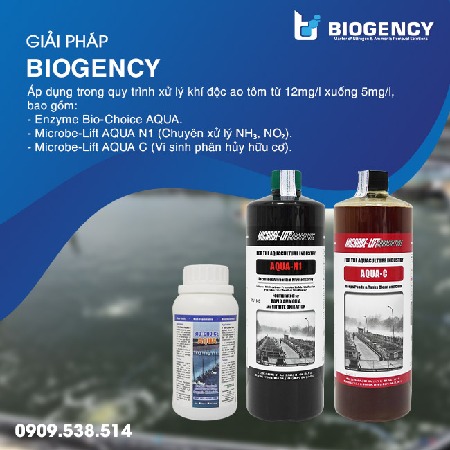Các sản phẩm nằm trong quy trình xử lý khí độc của BIOGENCY. Các sản phẩm nằm trong quy trình xử lý khí độc của BIOGENCY.