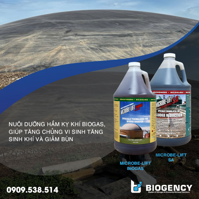 Men vi sinh Microbe-Lift BIOGAS và Microbe-Lift SA dùng trong nuôi dưỡng hầm kỵ khí Biogas. Men vi sinh Microbe-Lift BIOGAS và Microbe-Lift SA dùng trong nuôi dưỡng hầm kỵ khí Biogas.