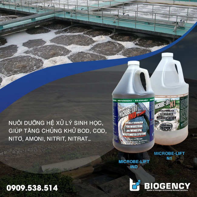 Men vi sinh Microbe-Lift IND và Microbe-Lift N1 dùng trong nuôi dưỡng hệ sinh học hiếu khí-thiếu khí HTXLNT tinh bột sắn. Men vi sinh Microbe-Lift IND và Microbe-Lift N1 dùng trong nuôi dưỡng hệ sinh học hiếu khí-thiếu khí HTXLNT tinh bột sắn.