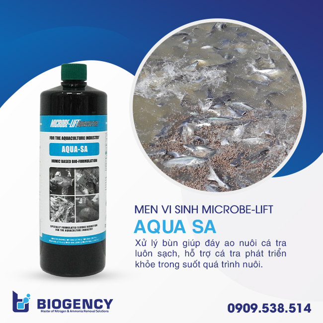 Men vi sinh Microbe-Lift chuyên xử lý bùn đáy ao nuôi cá tra. Men vi sinh Microbe-Lift chuyên xử lý bùn đáy ao nuôi cá tra.