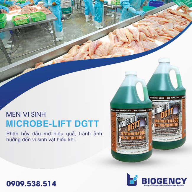 Men vi sinh Microbe-Lift DGTT xử lý dầu mỡ trong nước thải. Men vi sinh Microbe-Lift DGTT xử lý dầu mỡ trong nước thải.