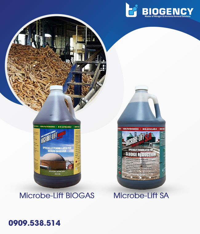Hai dòng vi sinh Microbe-Lift dùng trong xử lý nước thải chế biến tinh bột sắn giúp tối ưu hóa chi phí nhiên liệu. Hai dòng vi sinh Microbe-Lift dùng trong xử lý nước thải chế biến tinh bột sắn giúp tối ưu hóa chi phí nhiên liệu.