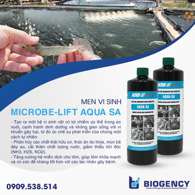 Microbe-Lift AQUA SA của BIOGENCY đã được ứng dụng trong kiểm soát khuẩn ao nuôi. Microbe-Lift AQUA SA của BIOGENCY đã được ứng dụng trong kiểm soát khuẩn ao nuôi.