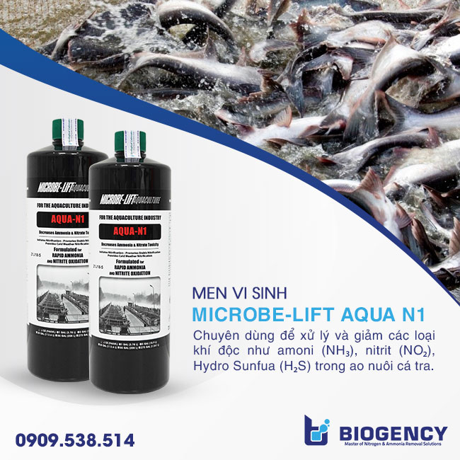 Men vi sinh Microbe-Lift AQUA N1 Men vi sinh Microbe-Lift AQUA N1
