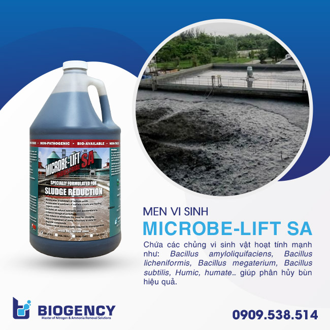 Men vi sinh xử lý bùn Microbe-Lift SA giúp xử lý bùn thải hiệu quả hiện nay. Men vi sinh xử lý bùn Microbe-Lift SA giúp xử lý bùn thải hiệu quả hiện nay.