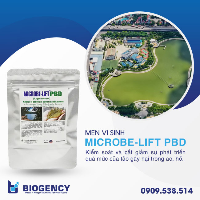 Vi sinh Microbe-Lift PBD dùng trong xử lý tảo xanh ở hồ điều hòa. Vi sinh Microbe-Lift PBD dùng trong xử lý tảo xanh ở hồ điều hòa.
