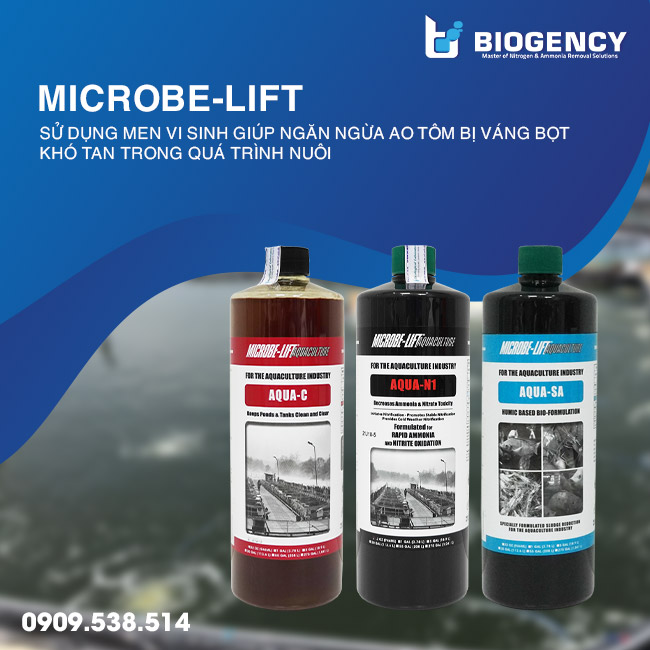 Bộ 3 men vi sinh Microbe-Lift: AQUA C, AQUA SA và AQUA N1 Bộ 3 men vi sinh Microbe-Lift: AQUA C, AQUA SA và AQUA N1