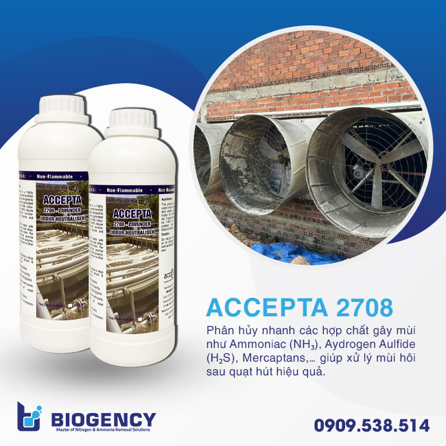Accepta 2708 không chỉ xử lý mùi hôi sau quạt hút mà còn cải thiện hệ sinh thái trong trại, giúp giảm bệnh đường hô hấp ở vật nuôi. Accepta 2708 không chỉ xử lý mùi hôi sau quạt hút mà còn cải thiện hệ sinh thái trong trại, giúp giảm bệnh đường hô hấp ở vật nuôi.