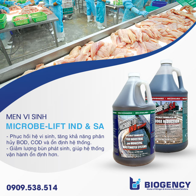 Dòng sản phẩm vi sinh Microbe-Lift dùng trong khắc phục sự cố sốc tải bể hiếu khí nước thải chế biến thủy sản. Dòng sản phẩm vi sinh Microbe-Lift dùng trong khắc phục sự cố sốc tải bể hiếu khí nước thải chế biến thủy sản.