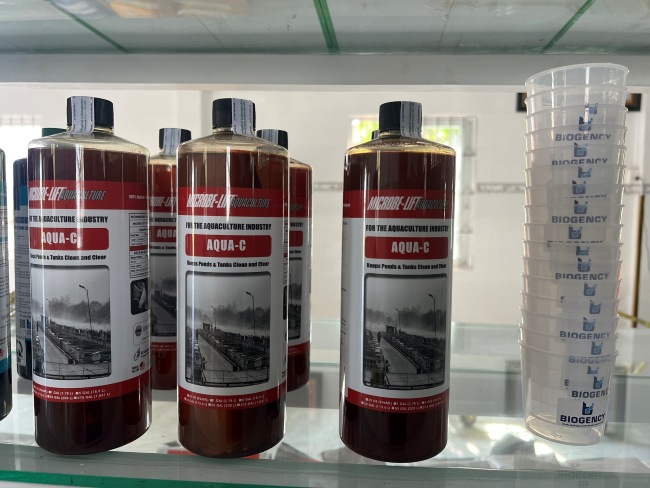 Men vi sinh Microbe-Lift AQUA C được sử dụng phổ biến trong ao nuôi tôm thâm canh.