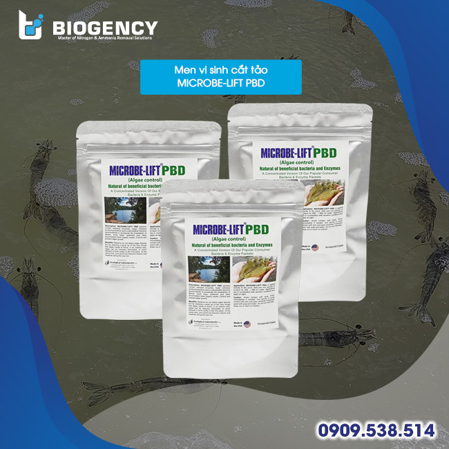 Microbe-Lift PBD chứa chủng vi sinh Bacillus amyloliquefaciens và Enzyme Cellulase giúp kiểm soát tảo ao tôm hiệu quả Microbe-Lift PBD chứa chủng vi sinh Bacillus amyloliquefaciens và Enzyme Cellulase giúp kiểm soát tảo ao tôm hiệu quả