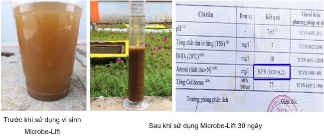 So sánh hiệu quả xử lý sự cố hệ sinh học trước và sau khi áp dụng phương án của BIOGENCY. So sánh hiệu quả xử lý sự cố hệ sinh học trước và sau khi áp dụng phương án của BIOGENCY.