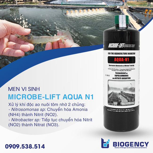 Men vi sinh xử lý khí độc ao nuôi tôm Microbe-Lift AQUA N1. Men vi sinh xử lý khí độc ao nuôi tôm Microbe-Lift AQUA N1.