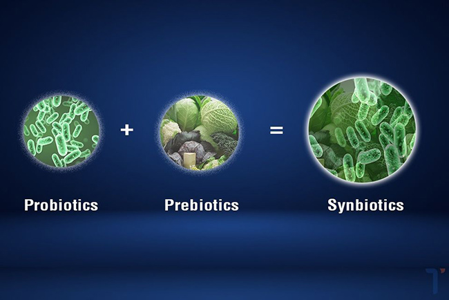 Synbiotics là kết hợp của Probiotics và Prebiotics. Synbiotics là kết hợp của Probiotics và Prebiotics.