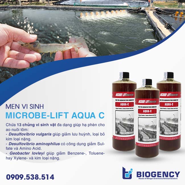 Microbe-Lift AQUA C men vi sinh xử lý phèn trong ao nuôi tôm hiệu quả hiện nay. Microbe-Lift AQUA C men vi sinh xử lý phèn trong ao nuôi tôm hiệu quả hiện nay.