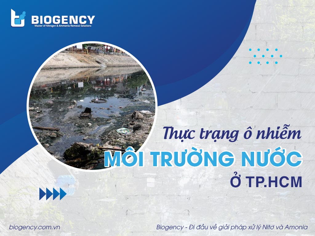 Thực trạng ô nhiễm môi trường nước ở TP.HCM