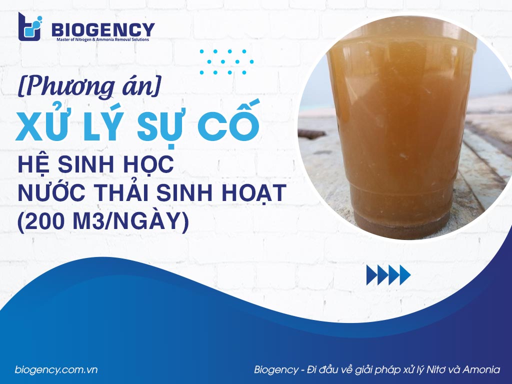 [Phương án] Xử lý sự cố hệ sinh học nước thải sinh hoạt (200 m3/ngày) trong 30 ngày