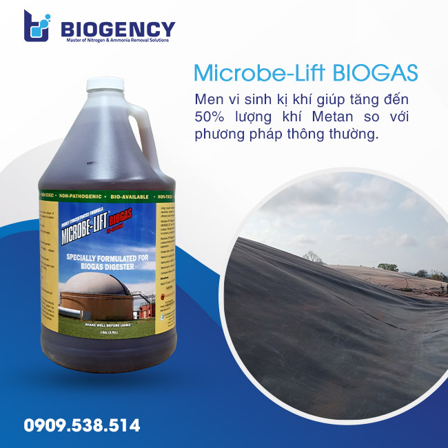 Men vi sinh Microbe-Lift BIOGAS - Giải pháp tăng khí sinh học vượt trội. Men vi sinh Microbe-Lift BIOGAS - Giải pháp tăng khí sinh học vượt trội.