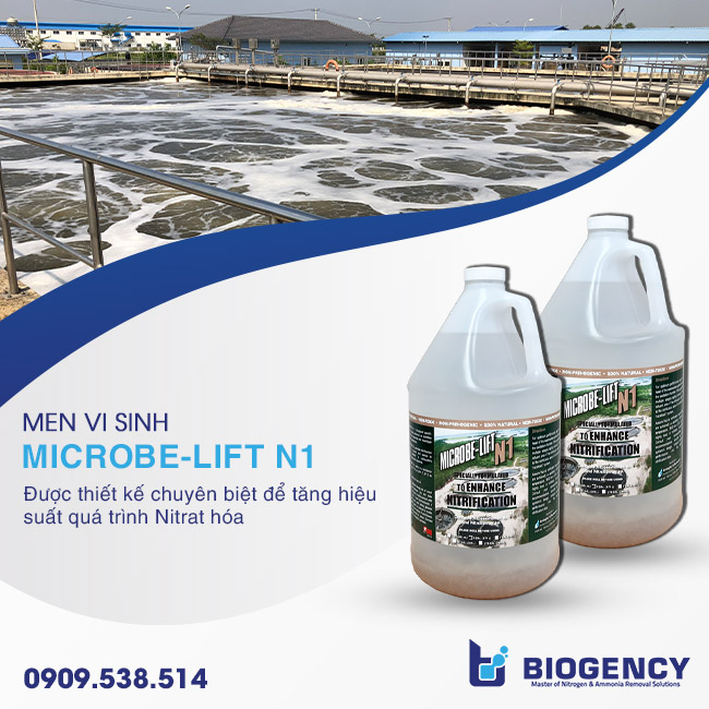 Men vi sinh Microbe-Lift N1 xử lý Amoni trong nước thải Men vi sinh Microbe-Lift N1 xử lý Amoni trong nước thải