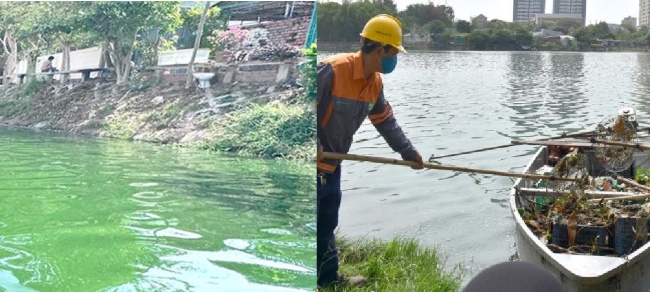 Hình ảnh hồ sinh học đang gặp vấn đề cần xử lý. Hình ảnh hồ sinh học đang gặp vấn đề cần xử lý.