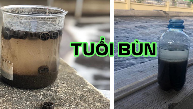 Kiểm soát tuổi bùn là cả một quá trình. Kiểm soát tuổi bùn là cả một quá trình.