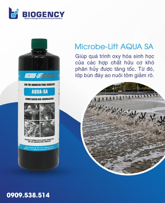 Xử lý đáy ao tôm dơ nhờ Men vi sinh Microbe -Lift AQUA SA. Xử lý đáy ao tôm dơ nhờ Men vi sinh Microbe -Lift AQUA SA.