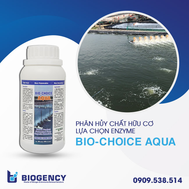 Sản phẩm Enzyme đậm đặc BIO-CHOICE AQUA. Sản phẩm Enzyme đậm đặc BIO-CHOICE AQUA.