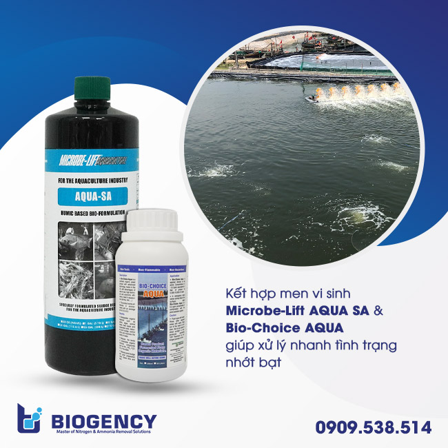 Kết hợp men vi sinh Microbe-Lift AQUA SA & Bio-Choice AQUA giúp xử lý nhanh tình trạng nhớt bạt Kết hợp men vi sinh Microbe-Lift AQUA SA & Bio-Choice AQUA giúp xử lý nhanh tình trạng nhớt bạt