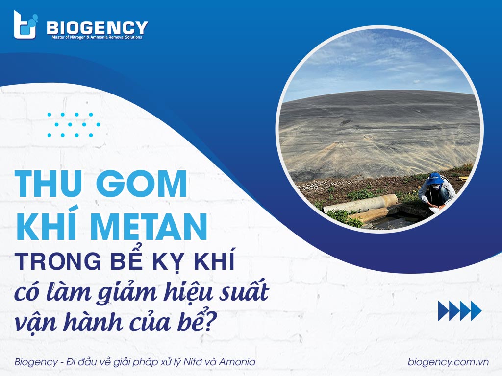 Thu gom khí Metan trong bể kỵ khí có làm giảm hiệu suất vận hành của bể?