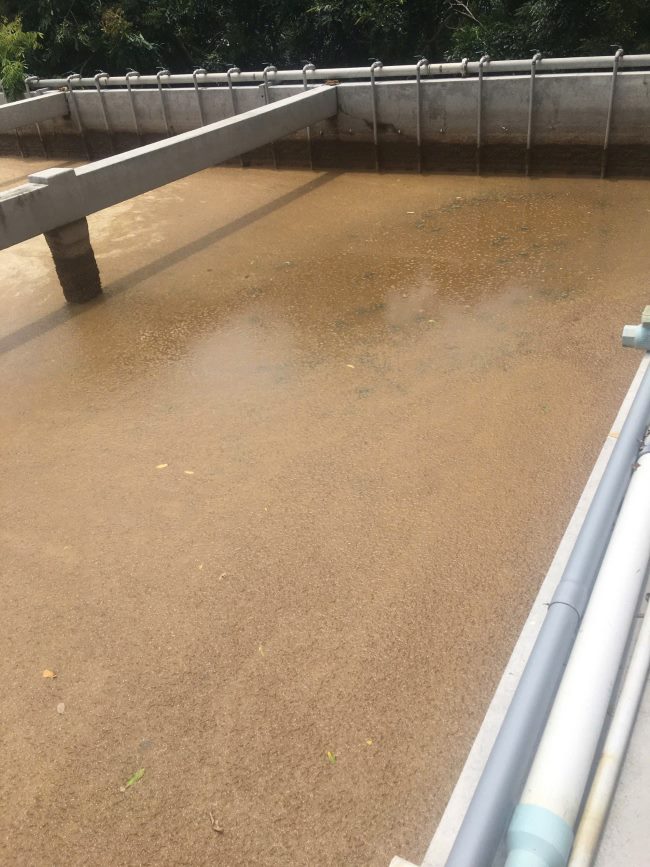 Vi sinh bị sốc do độ mặn trong nước thải quá cao. Vi sinh bị sốc do độ mặn trong nước thải quá cao.