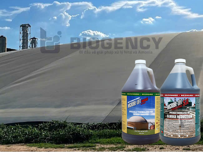 Men vi sinh Microbe-Lift BIOGAS và Microbe-Lift SA chuyên dùng cho hầm Biogas hệ thống XLNT tinh bột sắn. Men vi sinh Microbe-Lift BIOGAS và Microbe-Lift SA chuyên dùng cho hầm Biogas hệ thống XLNT tinh bột sắn.