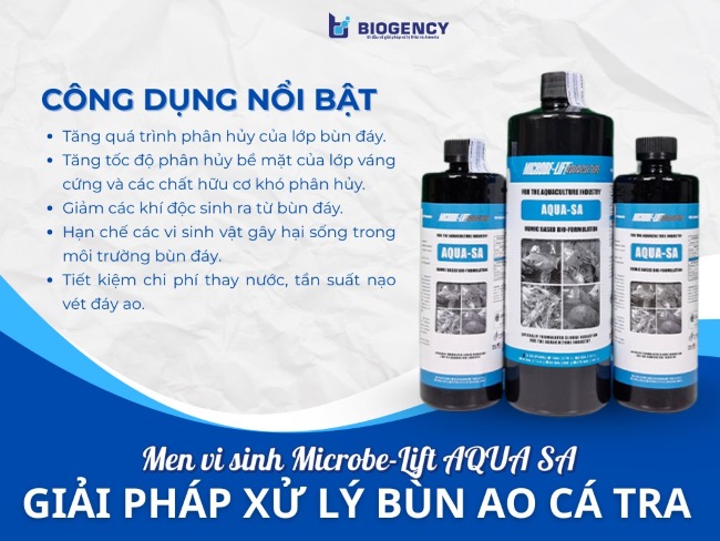 Men vi sinh Microbe-Lift AQUA SA xử lý bùn trong nuôi cá tra hiệu quả. Men vi sinh Microbe-Lift AQUA SA xử lý bùn trong nuôi cá tra hiệu quả.