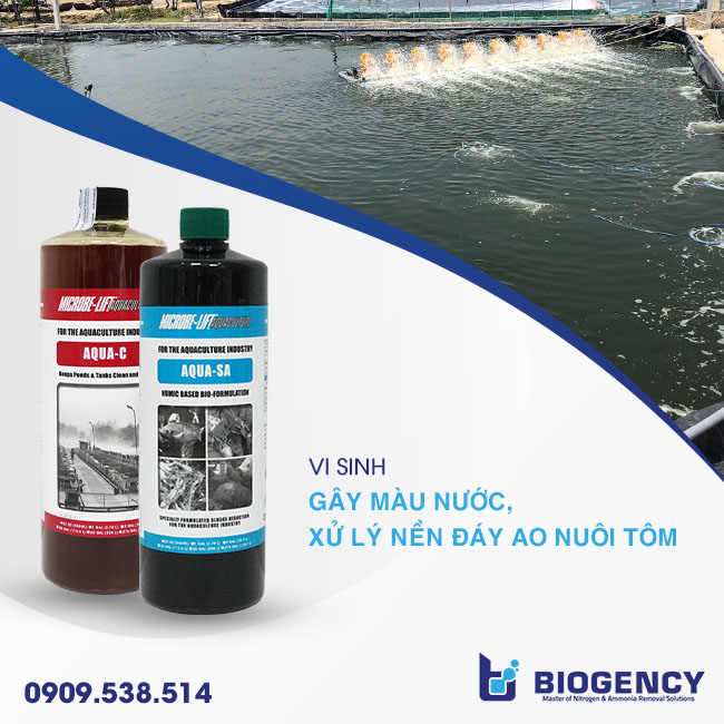 Vi sinh gây màu nước và xử lý nền đáy ao nuôi tôm. Hướng dẫn sử dụng vôi trong nuôi tôm: Các trường hợp và liều lượng cụ thể