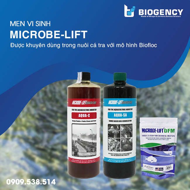 Quy trình nuôi cá tra theo công nghệ Biofloc năng suất cao Quy trình nuôi cá tra theo công nghệ Biofloc năng suất cao