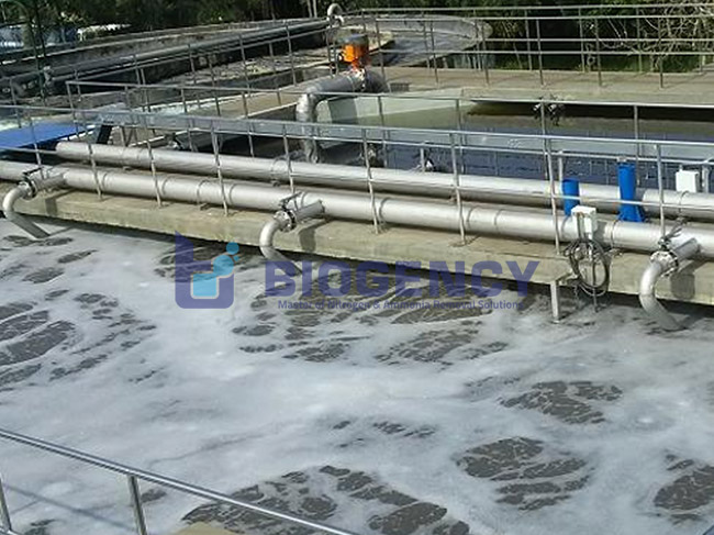 Doanh nghiệp, nhà đầu tư cần cập nhật quy chuẩn mới - QCVN 40:2025/BTNMT. Doanh nghiệp, nhà đầu tư cần cập nhật quy chuẩn mới - QCVN 40:2025/BTNMT.