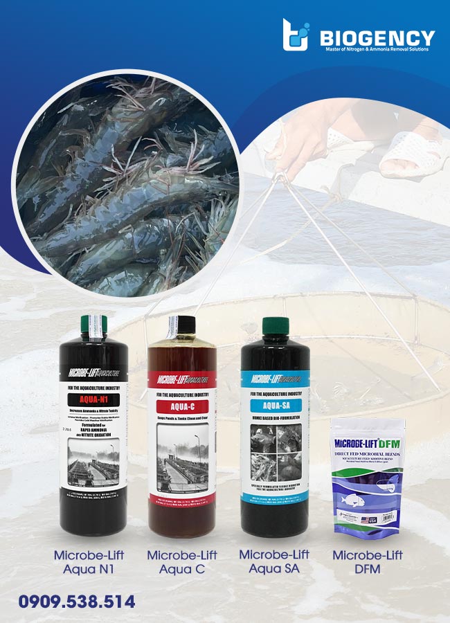 Sản phẩm men vi sinh thủy sản Microbe-Lift đến từ Hoa Kỳ. Sản phẩm men vi sinh thủy sản Microbe-Lift đến từ Hoa Kỳ.