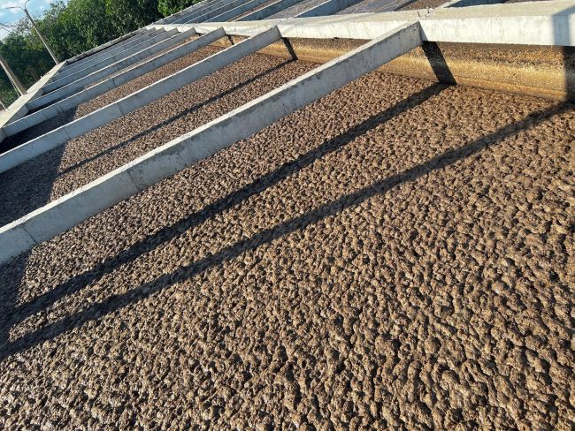 Hiện trạng sốc tải ở bể hiếu khí hệ thống xử lý nước thải tinh bột mì. Hiện trạng sốc tải ở bể hiếu khí hệ thống xử lý nước thải tinh bột mì.