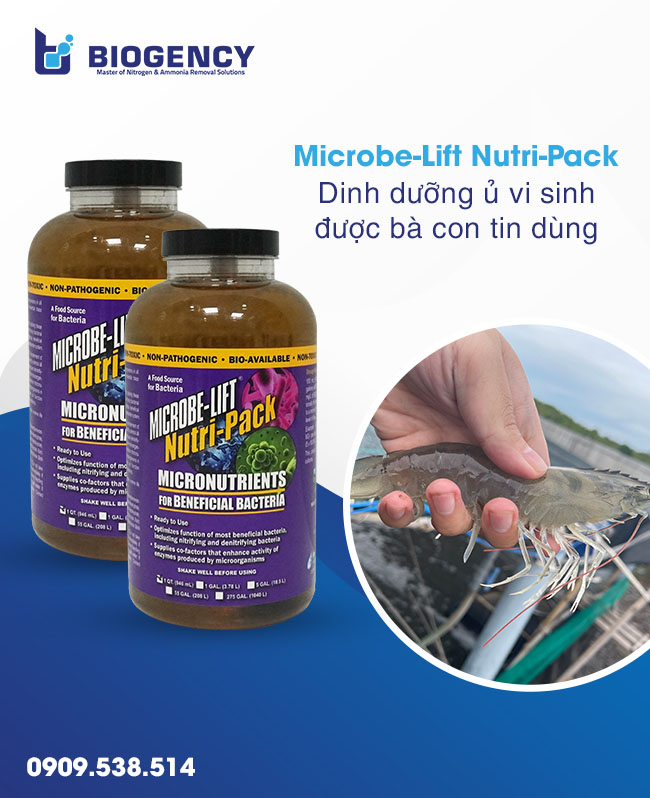 Dinh dưỡng ủ vi sinh thủy sản: Bước tiến vượt trội so với ủ truyền thống Dinh dưỡng ủ vi sinh thủy sản: Bước tiến vượt trội so với ủ truyền thống