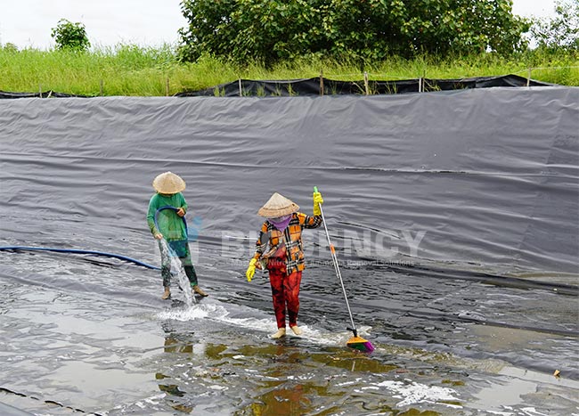 Để phòng bệnh cho tôm cá, công tác cải tạo ao cần được thực hiện kỹ lưỡng và đúng quy trình. Để phòng bệnh cho tôm cá, công tác cải tạo ao cần được thực hiện kỹ lưỡng và đúng quy trình.