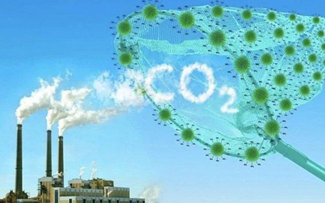 Sử dụng mô hình hầm Biogas trong chăn nuôi hỗ trợ giảm phát thải khí CO2. Sử dụng mô hình hầm Biogas trong chăn nuôi hỗ trợ giảm phát thải khí CO2.