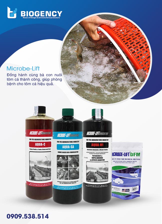 Men vi sinh Microbe-Lift đồng hành cùng bà con nuôi tôm thành công, giúp phòng bệnh cho tôm cá hiệu quả. Men vi sinh Microbe-Lift đồng hành cùng bà con nuôi tôm thành công, giúp phòng bệnh cho tôm cá hiệu quả.
